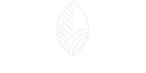 Green Dreams