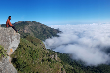 Green Dreams coorg