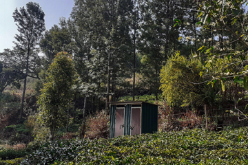 Green Dreams coorg