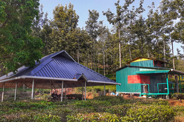 Green Dreams coorg