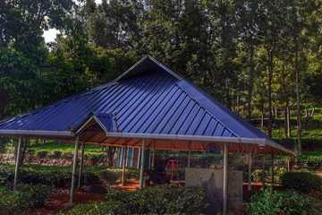 Green Dreams coorg