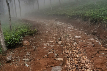 Green Dreams Ooty