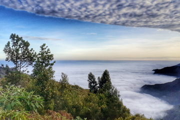 Green Dreams coorg