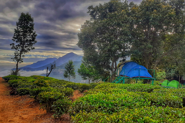Green Dreams in kushalnagar