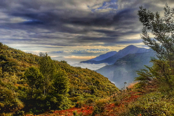 Green Dreams adventure stay