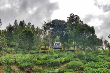 resorts in kushalnagar