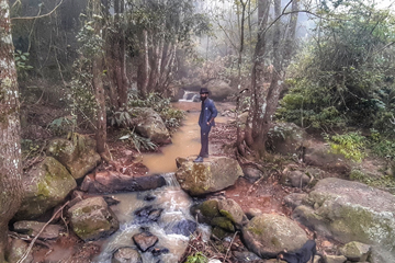 Green Dreams coorg