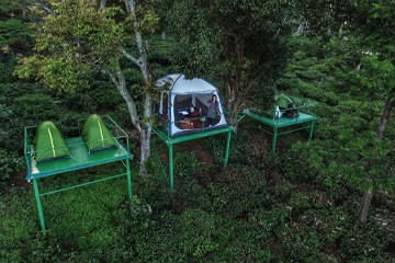 Green Dreams Ooty