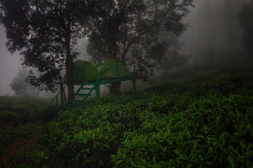 Green Dreams in kushalnagar