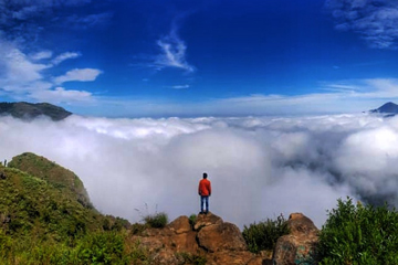 Green Dreams adventure stay