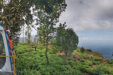 Green Dreams coorg kushalnagar