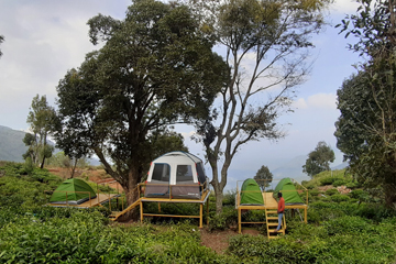 Green Dreams in kushalnagar