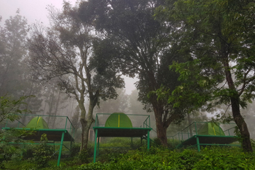 Green Dreams adventure stay